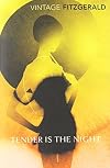Tender is the Night (Vintage Classics Promo 113) by F Scott Fitzgerald (2011-01-06)