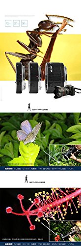 VILTROX DG-C AF Macro Tube d’extension Automatique Bague allonge pour Canon EF EF-S 7D 6D 5D 60D 70D 80D 77D 750D 800D…