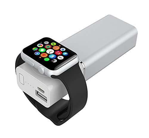 Element Works Dual Portable Backup Battery and Charger for Smartphones & Apple Watch- Apple Certified (Silver)