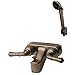 Builders Shoppe 3210BZ/4120BZ RV/Motorhome Replacement Non-Metallic Two Handle Tub Shower Faucet Valve Diverter with Matching Hand Held Shower Set Brushed Bronze Finish