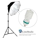 LimoStudio Photography Video Studio Continuous Softbox Lighting Light Kit with Photo CFL 105W Bulb, AGG702
