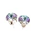 pewterhooter Women's Sterling Silver Starlight Crystal Stud Earrings