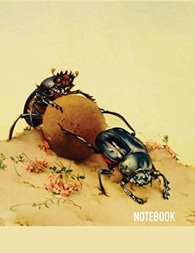 Notebook: Beetle Theme Cover Journal Cahier Large: 8.5 x 11 100 Pages Lined Notebook for Notes, Ideas, Observations