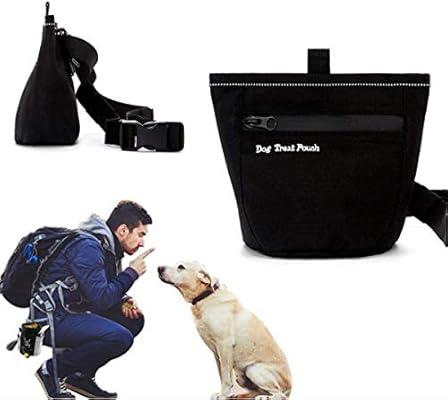 best bait bag dog training