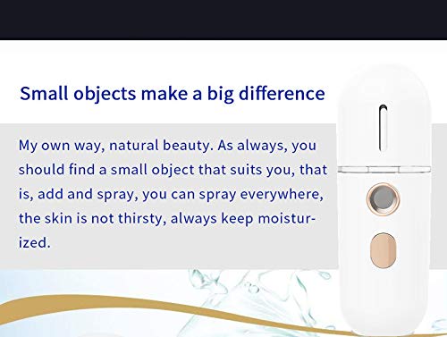 Axchongery Mini Portable Nano Steaming Facial Humidifier, Handy Spray Moisturizer Beauty Instrument, Small Portable Mist Sprayer for Face Moisturizing and Hydrating, No Noise, Travel (A)