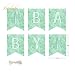 NICROLANDEE Cactus Baby Shower Decoration Mint Green Tissue Pom Poms Eyelet Paper Lantern White Hanging Honeycomb Ball Watercolor Party Banner Fiesta Baby Shower 1st Birthday Cactus Party Decorations