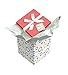 Gift Box 12x12x12 Garnier Pop up in Seconds comes with Decorative Ribbon mounted on the lid A Gift Tag and Tissue Paper - No Glue or Tape Required