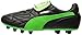 PUMA Men's King Top M.I.I FG Soccer Shoe