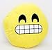 Emoji Pillows, Plush Cushion with Various Emoticon Expressions Faces Moods. Random Assorted Styles and Designs. Styles and Designs Will Vary at Random When Shipped by Amazon or by Perfect Life Ideas