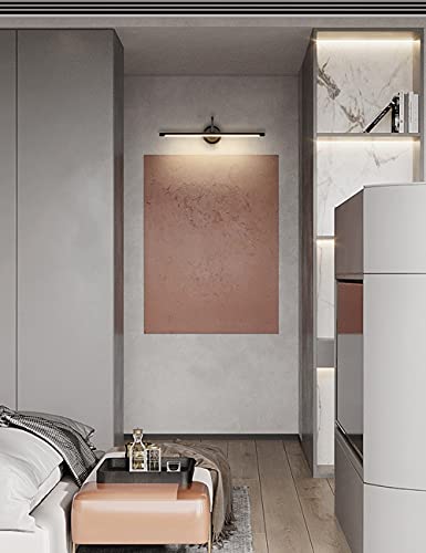 ECOBRT Modern LED Picture Light Fixtures Black Full Metal Artwork Display Light Fixture 24.4\