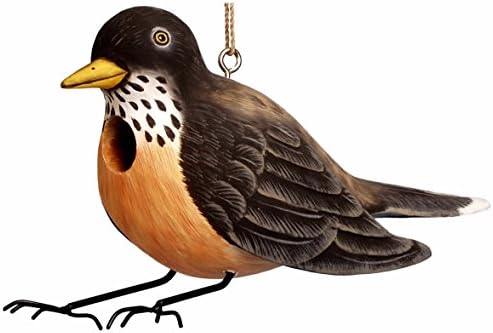 Robin Bird House