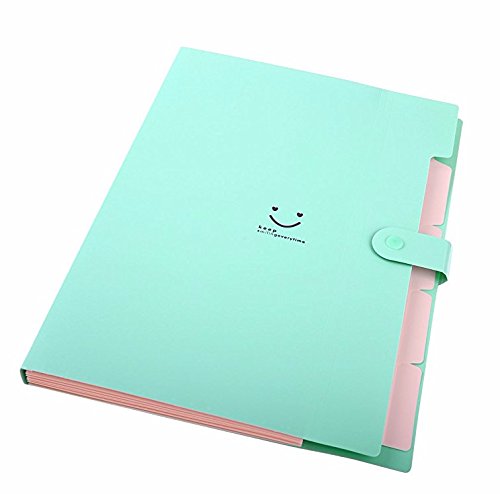 File Folders Classification Office 5 Pocket Paper Black File Folders - Thumbnail 7