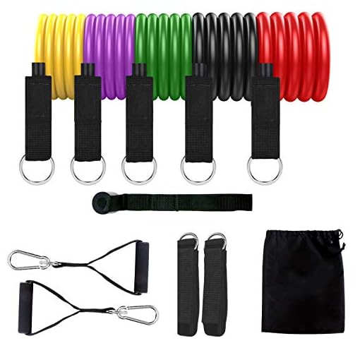 swelldom Resistance Bands Set (Resistance Bands)