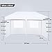 NSdirect 10 x 20 ft Pop Up Outdoor Canopy Tent,Heavy Duty Easy Portable Wedding Party Tent Carrying Bag Adjustable Folding Gazebo Pavilion Patio Shelter with 6 Removable Side Walls Tent,White