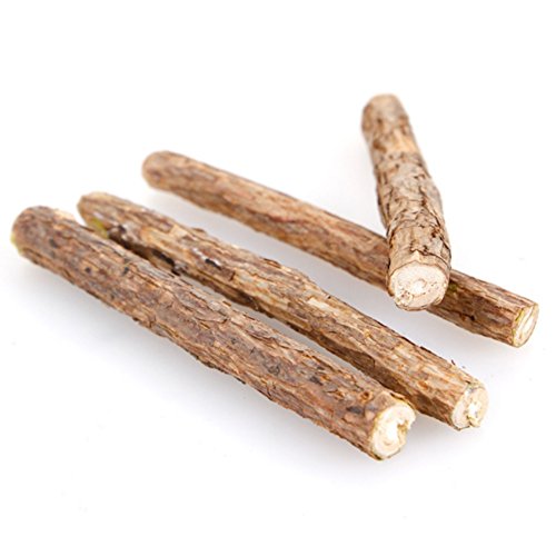 Cat Cleaning Teeth Pure Natural Catnip Pet Cat Molar Toothpaste Stick Silvervine Actinidia Fruit Matatabi Cat Snacks Sticks