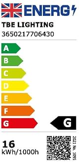 TBE Lighting 16W 4-Pin CFL DD Lamp GR10q 230V Long Life 3500K view 8