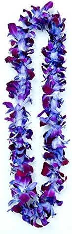 Fresh Graduation Orchid Leis - Single Strand Leis (Purple Sonnia Tinted)