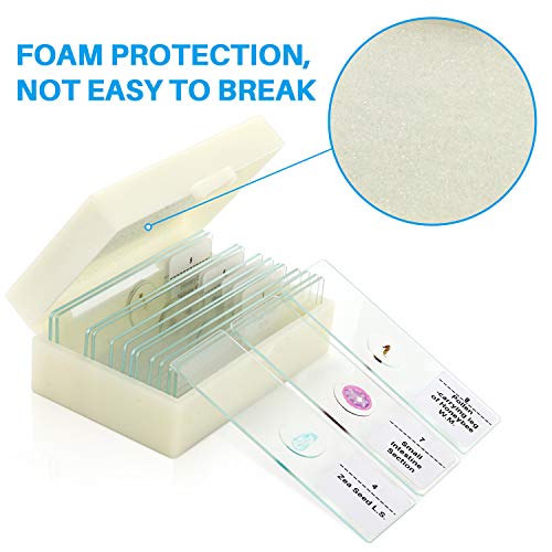 Microscope Slides, 10pc Biology Science Prepared Slides and 5pc Blank Ground Edge Slides with Storage Case - Thumbnail 6