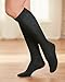 National Merino Wool Blend Knee High Socks, 3-pk