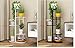 Indoor Display Rack 5 Tier Metal Plant Stand Flower Pots Stander Display Pots Holder (Black)thumb 3