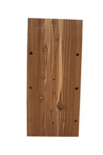 Homestead Essentials Cedar Bluebird House - Thumbnail 6