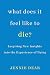 What Does It Feel Like to Die?: Inspiring New Insights into the Experience of Dying by Jennie Dear