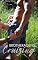 Livro BROTHERAGENS: CRUISING