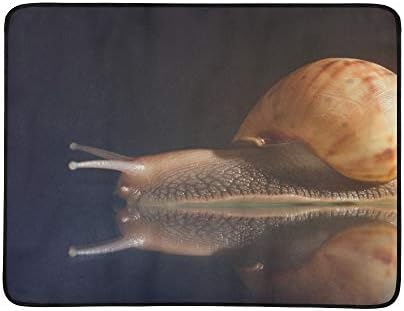 VvxXvx Curious Snails Crawl On Concrete Pattern Portable and Foldable Blanket Mat 60x78 Inch Handy Mat for Camping Picnic Beach Indoor Outdoor Travel