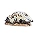 Decdeal Imitation Car Ornament for Air Bubble Stone Oxygen Pump Aquarium Fish Tank Decor