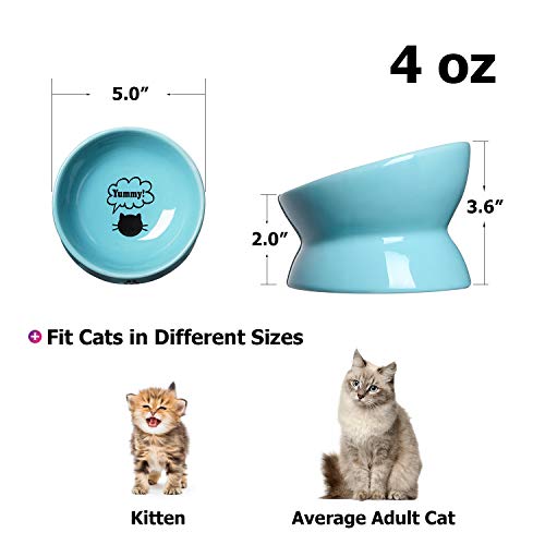 Y YHY Elevated Cat Food Bowl, Ceramic Raised Cat Bowl, Tilt Angle