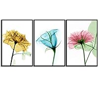 Framed Canvas Wall Art X-Ray Flowers Canvas Prints Home Artwork Decoration for Living Room,Bedroom - 16