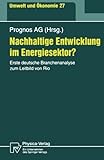 Image de Nachhaltige Entwicklung im Energiesektor?: Erste deutsche Branchenanalyse zum Leitbild von Rio (Umwelt und Ökonomie) (German Edition)