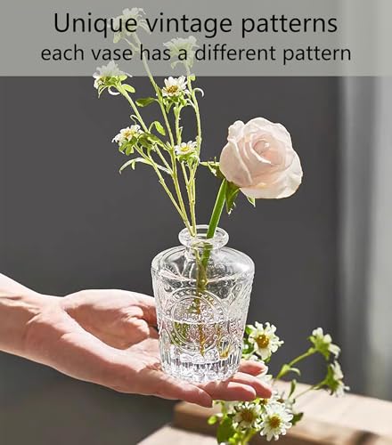 Glass Flower Vase, 12 Pack Small Flowers Vases Set, Mini Bud Plant Pots for Table Decoration & Centerpieces & Wedding, Vintage Bottle for Outdoor and Home Decor, صغيرة زجاج فازات, (Clear)