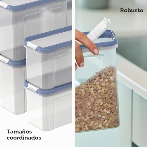 DOMINO - Juego de 24 botes de almacenamiento con tapa hermética, aptos para lavavajillas, transparente/azul