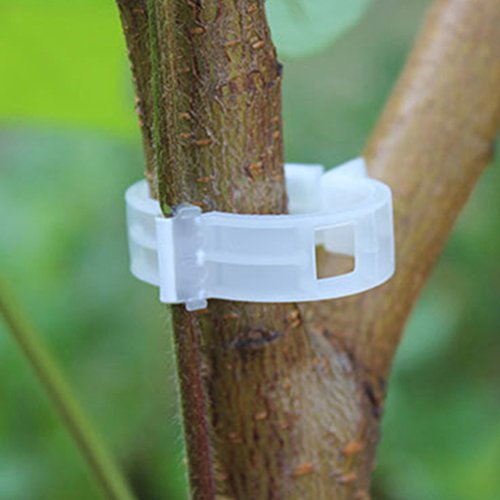 Color Scissor 100 Pcs Plant Support Clips, White Tomato Trellis Clips for Garden Vegetables Vine to Grow Upright and Makes Plants Healthier