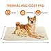 Focuspet Cat Thermal Mat, Dog Cat Bed Mat 28