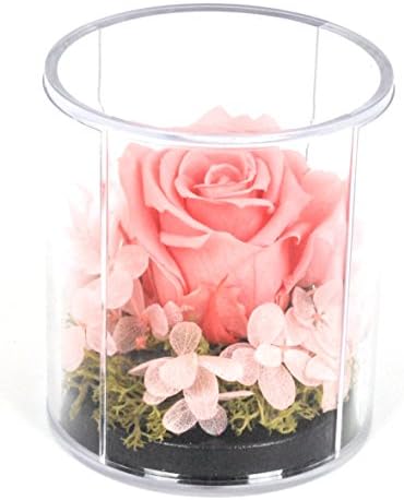 Natural Rose Preserved Flower in Durable Acrylic Case-PINK