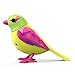 DigiBirds - Single Pack - Lime Multicolor