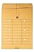Quality Park, Interoffice Envelopes, String-Tie Box, Brown Kraft, 10x13, 100 per Box (63562), Light Brown