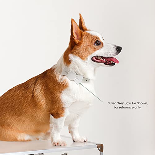 Jungle Club AirTag Dog Collar Holder, Air Tag Case for Dog Cat Collars