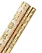 Papyrus Christmas Gold Wrapping Paper, Snowflakes and Holly (2 Pack)
