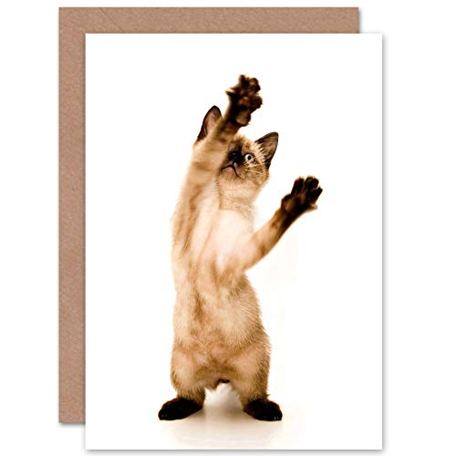 Siamese Kitten Cat Playing Birthday Gift Sealed Greeting Card Plus Envelope Blank inside