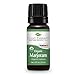 Plant Therapy Marjoram Organic Essential Oil 10 mL (1/3 oz) 100% Pure, Undiluted, Therapeutic Grade primary