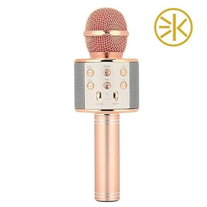 microphone with built in speaker