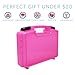 Life Made Better Sturdy Toy Storage Carrying Case, Compatible with Pomsies, Holds 3-5 Interactive Toys, Pink