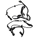 GRQV-0024970218