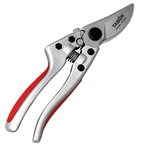 TABOR TOOLS S834A Pruning Shears, Makes Clean Cuts, Professional Sharp Secateurs, Great for M L Size Hands. Hand Pruner, Garden Shears, Clippers for The Garden. (Bypass, M L Size Hands)