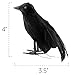 Cornucopia Brands 4in Black Crows (6-Pack); Imitation Artificial Birds/Ravens for Halloween Decorations, Haunted House & Fall Seasonal Displays