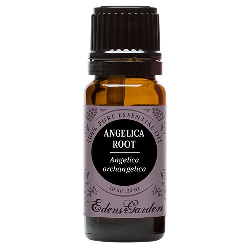 Angelica root 100% pure therapeutic grade essential oil…