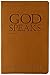 God Speaks Study Bible Brown Imitation Leather NET
